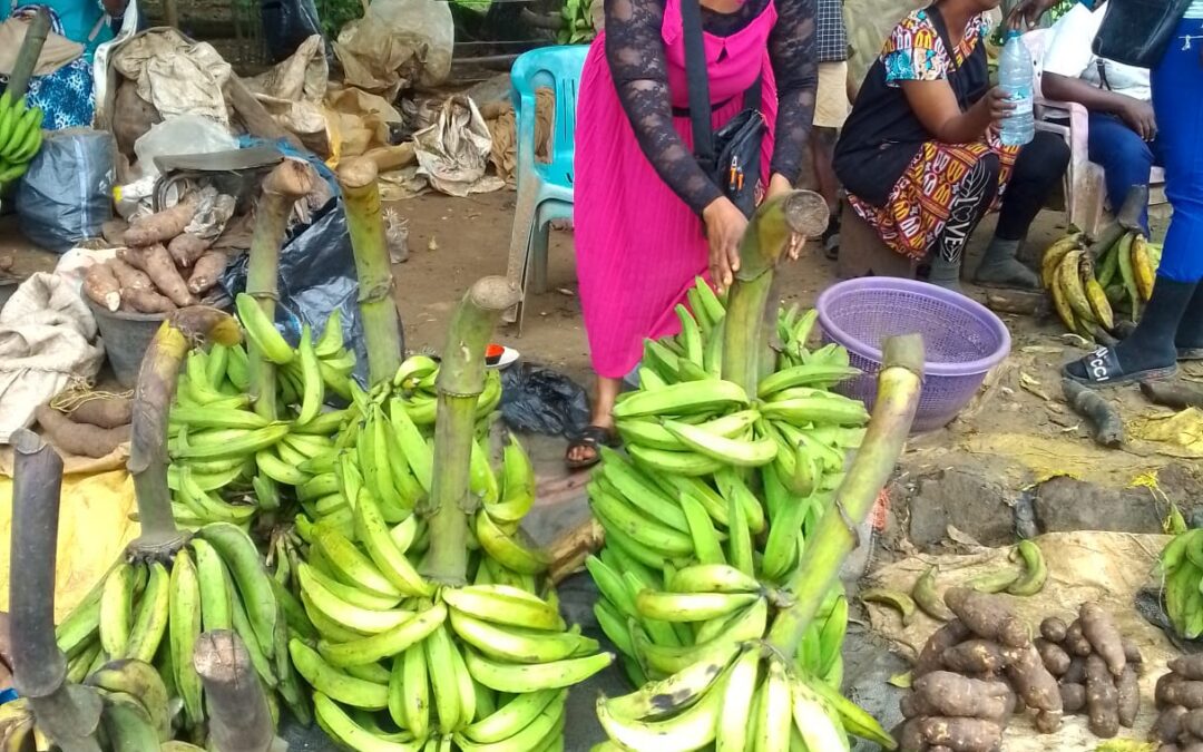 Empowering Entrepreneurs in Cameroon