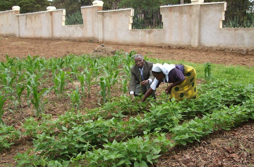 Farming God’s Way