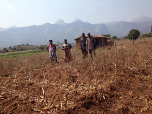 Church Property in Muslim Areas – Malawi